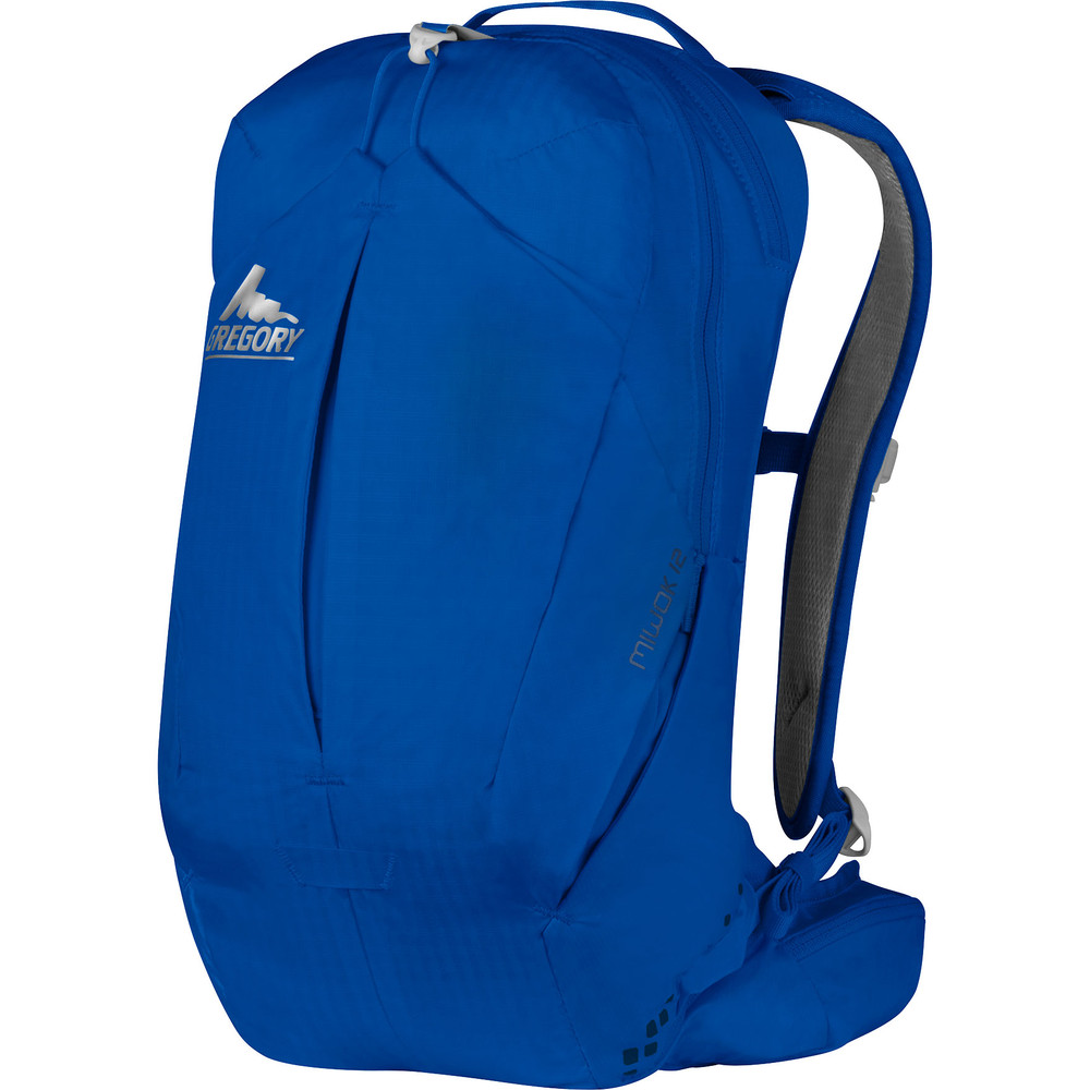 Buy Men's Gregory Miwok 12L Running Backpack Run and